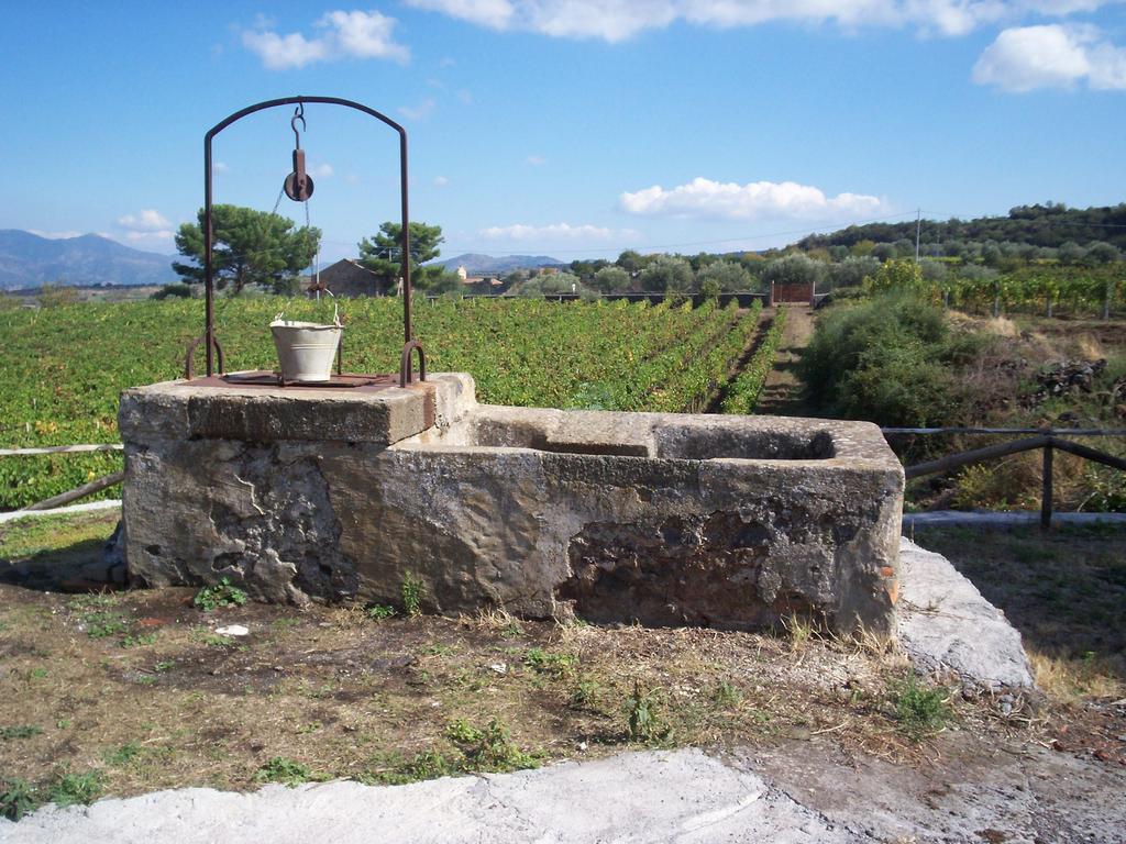 Etna Wine Azienda Agrituristica Passopisciaro Quarto foto