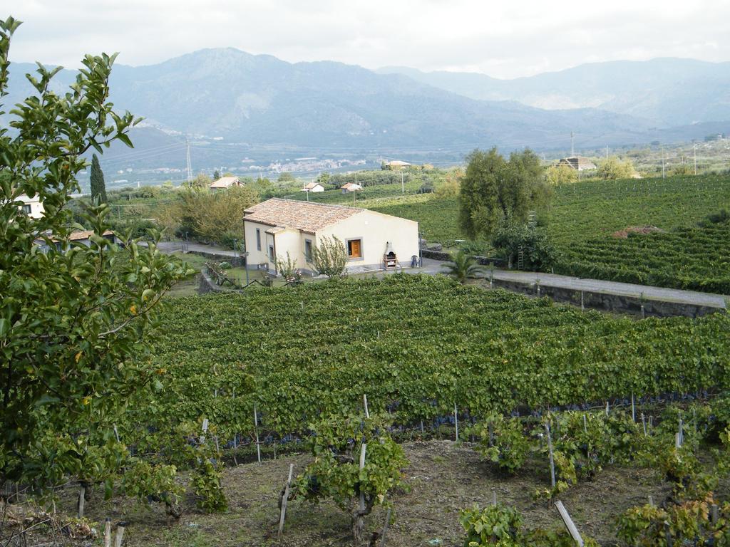 Etna Wine Azienda Agrituristica Passopisciaro Quarto foto